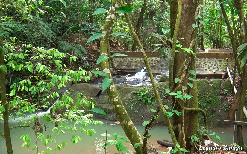 AGUA1